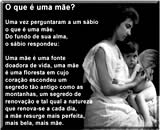 definição do que é ser mãe e o que é maternidade