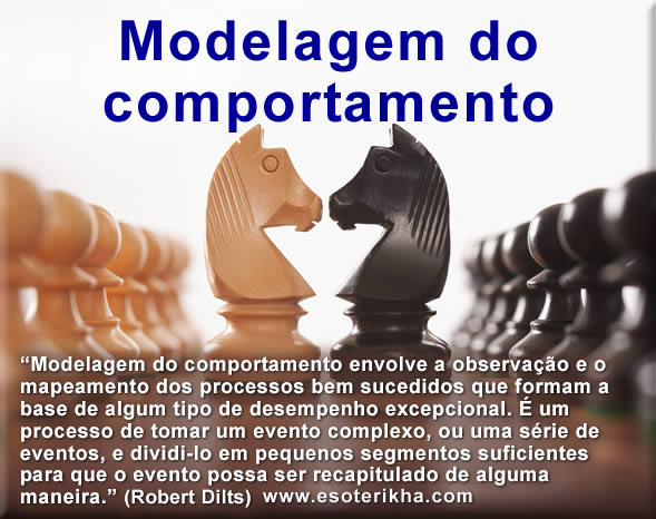 O que é Modelagem do Comportamento, definição